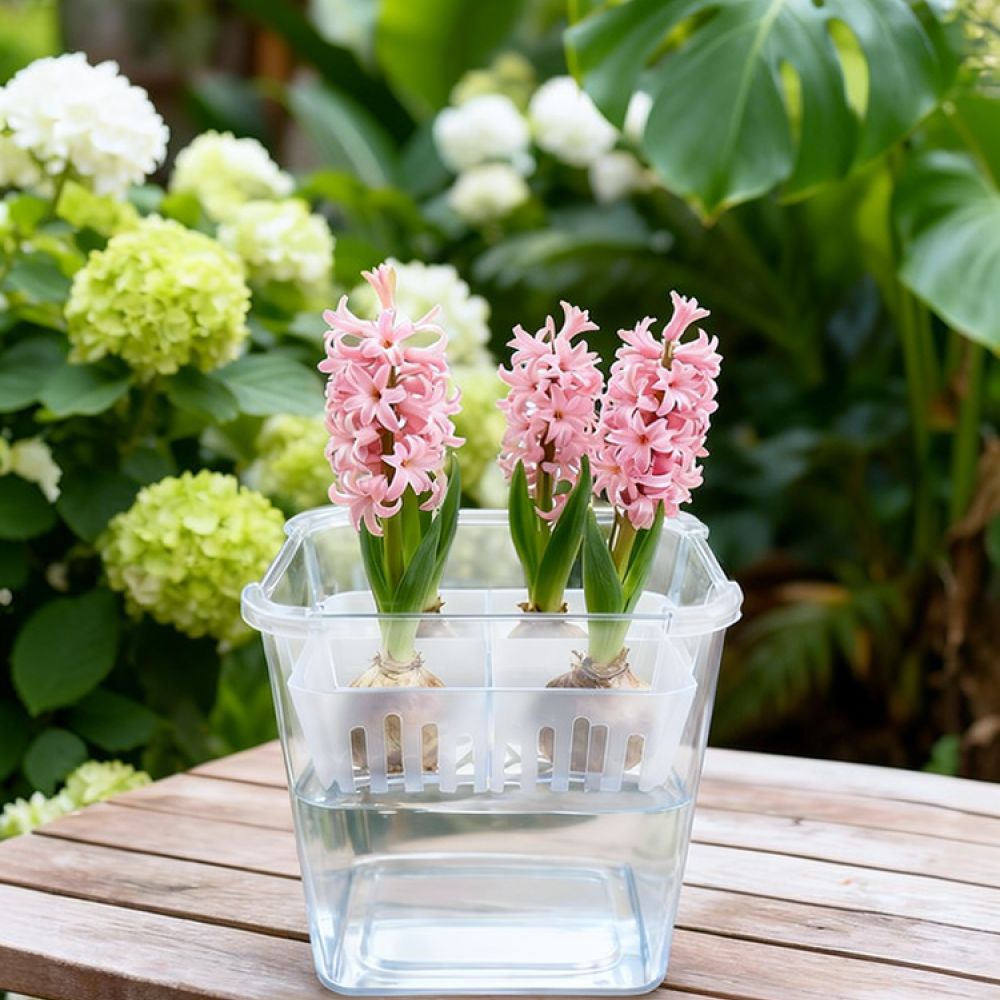 Vase Decor - Hydroponische vaas voor tulpen en lelies,