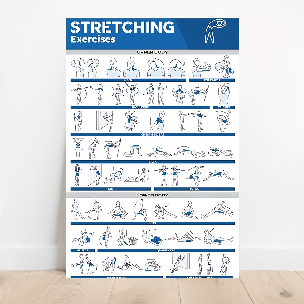 Interior Design Living Room - Moderne gelabelde full-body stretchs voor sportschool
