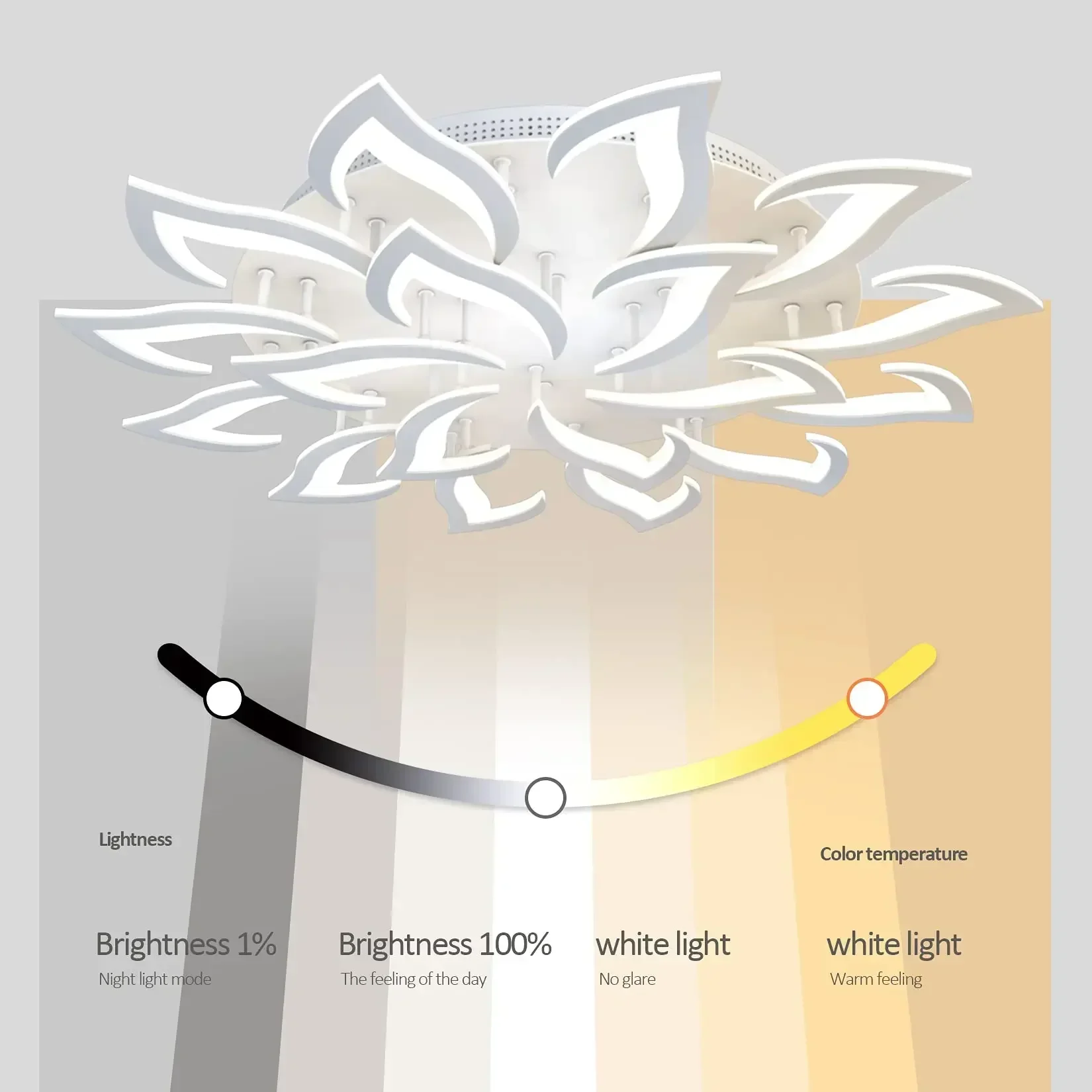 Designer LED-bloemblaadjeskroo - Interior Design High End recensie en prijs