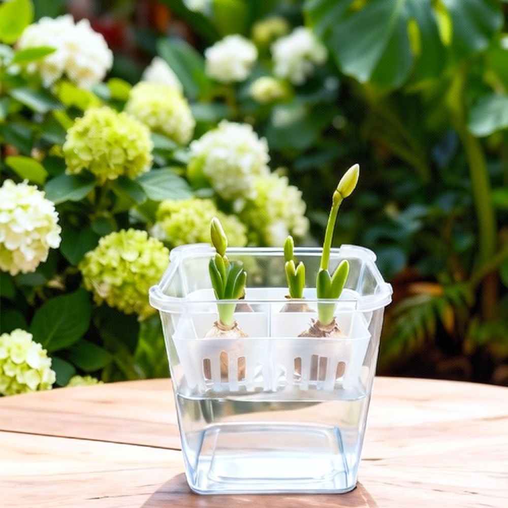 Hydroponische vaas voor tulpen - Vase Decor recensie en prijs