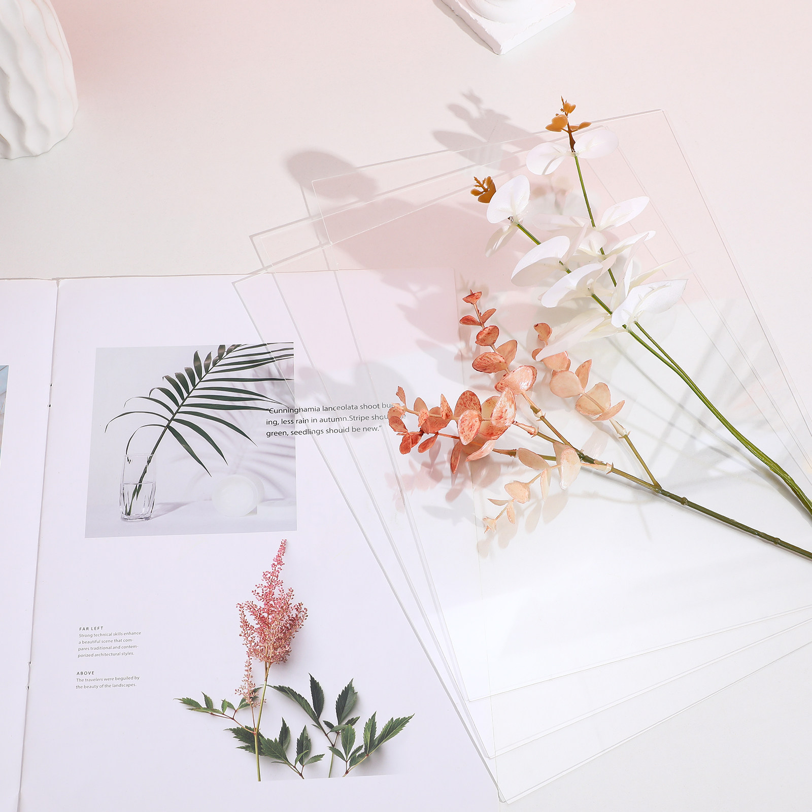10 stuks doorzichtige plastic  - Picture Frame recensie en prijs